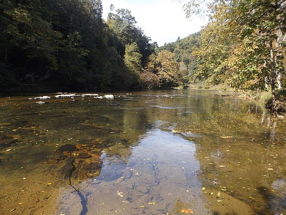 4th image of 6503 Panther Creek Rd