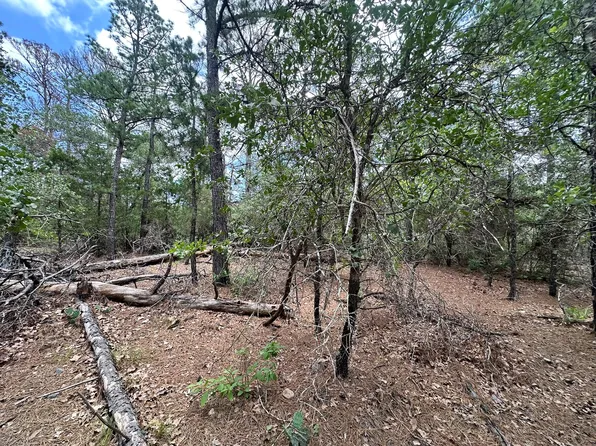 217 Helemano Dr, Bastrop, TX 78602