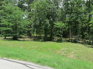 11406 Lilypad Ct, Montgomery, TX 77356