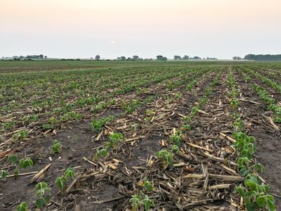 0 Thomas Ave, Coggon, IA, 52218