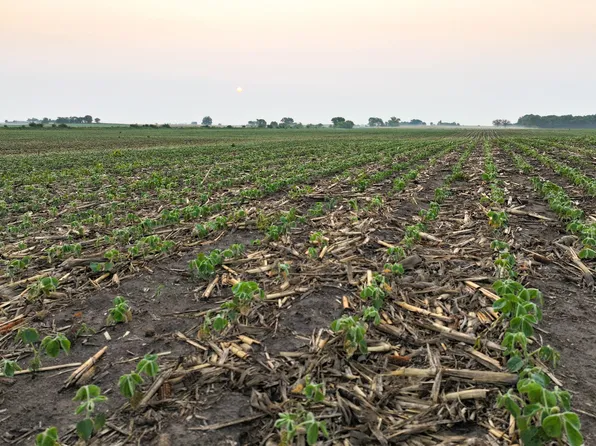 0 Thomas Ave, Coggon, IA 52218