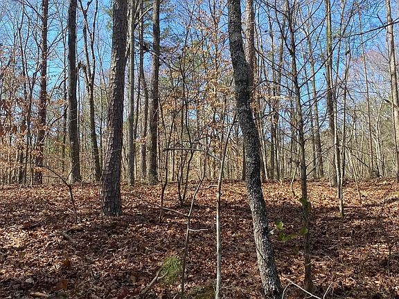 2nd image of 0 Dogwood Ests #36