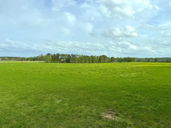 1 China Grove Rd, Ruth, MS 39662