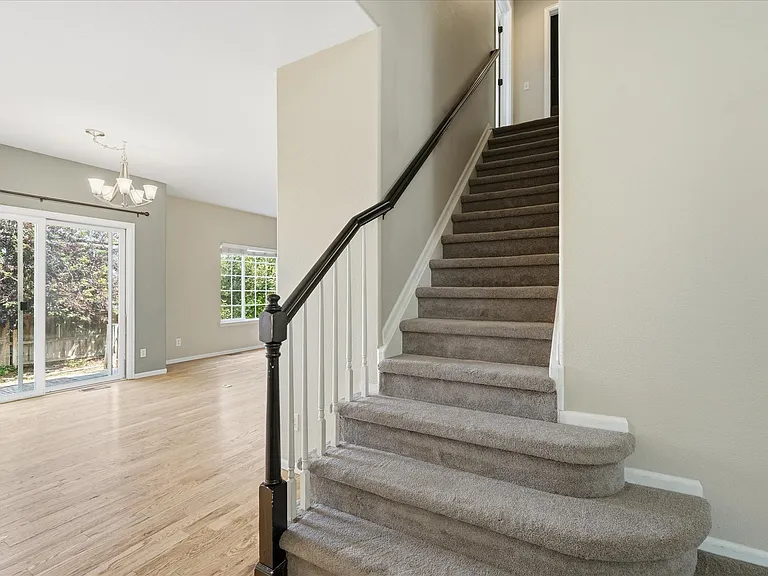 Newer neutral color, plush carpet