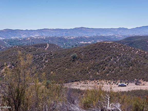 4th image of Calf Cyn