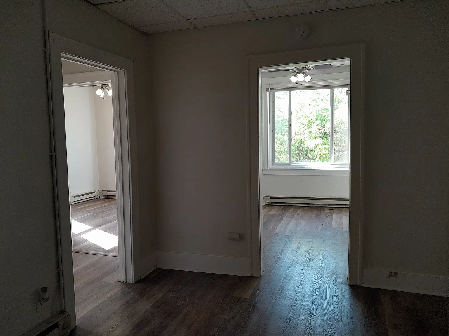 1 bed, 500 sqft, $895 — Photo 2