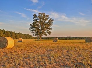 Tbd Browns Pond Rd, Wagener, SC 29164
