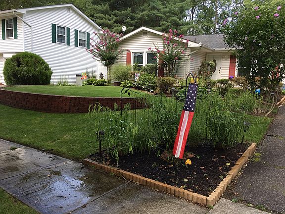 Amazing Neighborhood 