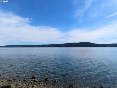 Seagull Way, Lilliwaup, WA, 98555