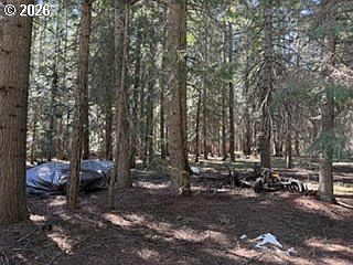 2nd image of 1251 Canyon Rd
