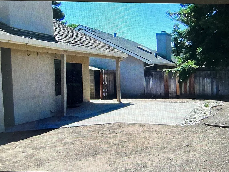 Back yard