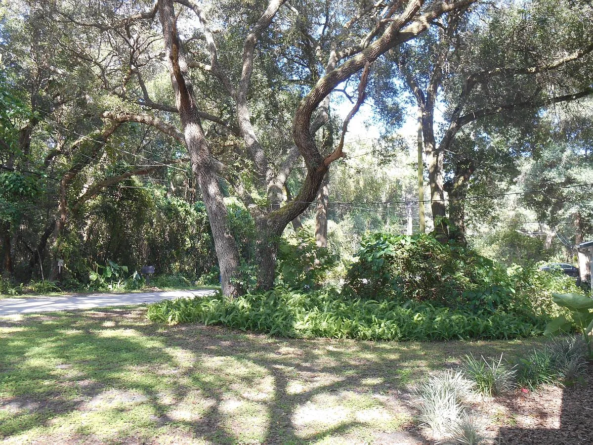 3 bed, 971 sqft, $1,625 — Photo 4