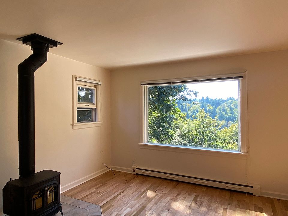 Living room with working wood stove