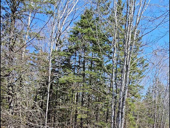 3rd image of Siding Rd