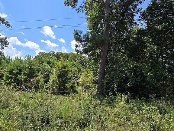3rd image of 7161 Molton Rd