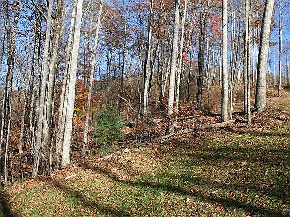 4th image of Little Hog Back Mtn