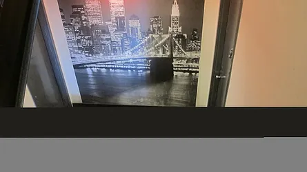 Rented by P Management