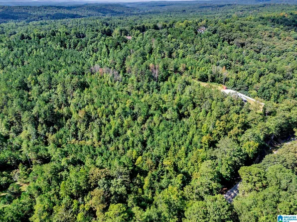 0 Mountain View Rd #4, Odenville, AL 35120