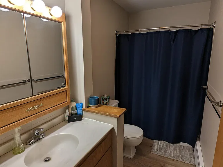 Bathroom (shower & tub)