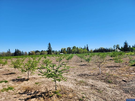 5th image of 36501 Gilkey Rd