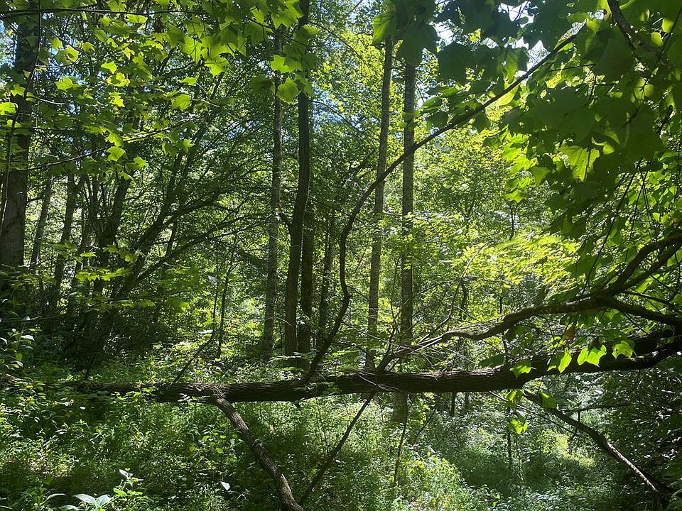 1st image of 489 Lands Creek Rd