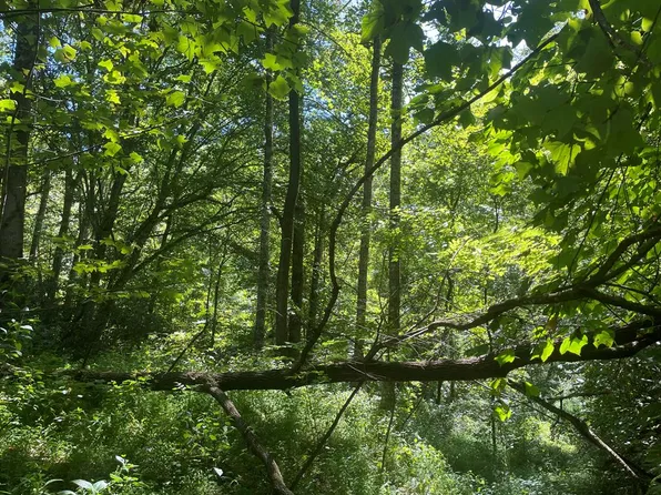 489 Lands Creek Rd, Bryson City, NC 28713