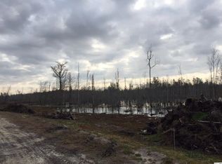 W Highway 378, Johnsonville, SC 29555
