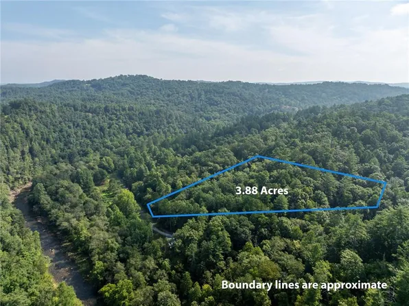 0 Meadow Ln #1734, Talking Rock, GA 30175