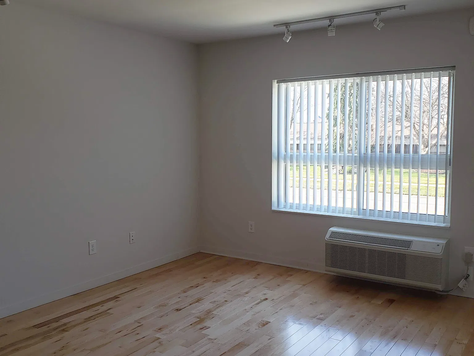 Studio, 370 sqft, $1,245 — Photo 2