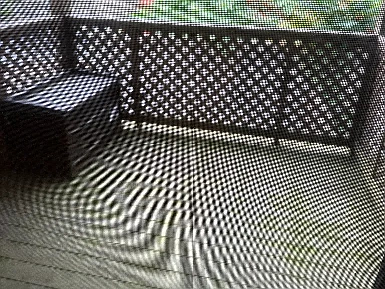 Back Porch