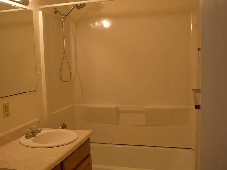 Hall / Guest Bath