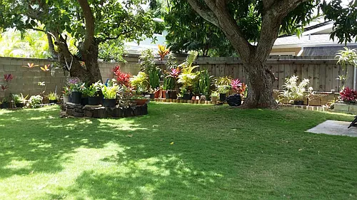129 Ulupa St #A Photo 1