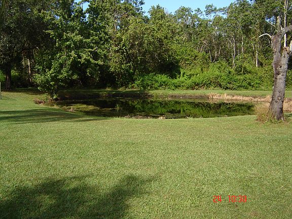 2nd image of 169 Pine Tree Dr