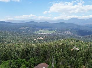 11760 Baca Rd #B, Conifer, CO 80433