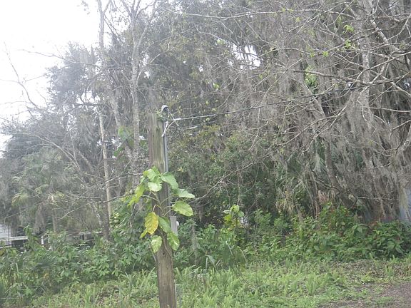 5th image of 2459 Wildwood Dr
