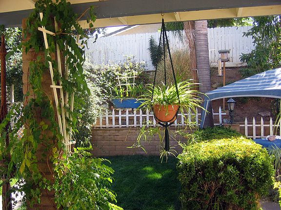 View from family room