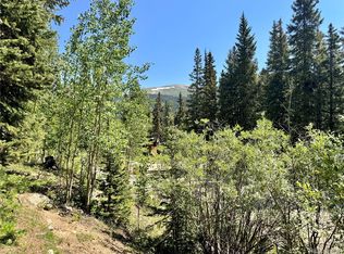 751 Peterson Dr #31, Alma, CO 80420