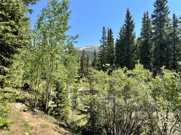 751 Peterson Drive LOT 31, Alma, CO 80420