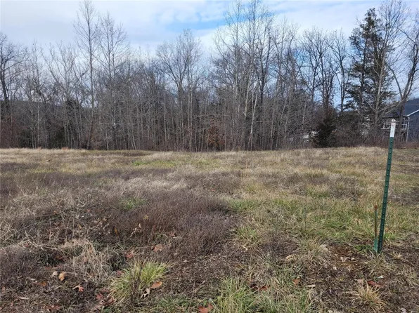 264 Auburn Ridge Dr Lot 64, Troy, MO 63379