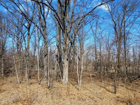 514XX Leaf River Rd Tract C, Ottertail, MN 56571