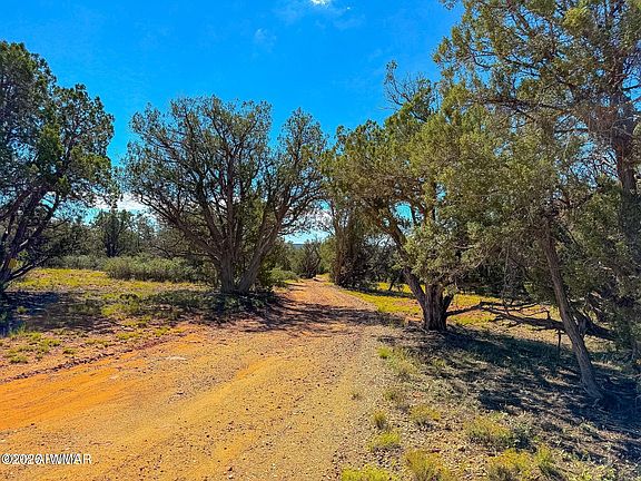 4th image of 61 Norma Rd Lot B