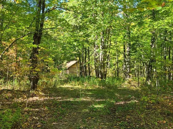 N 6717 Fish Rd, Pickford, MI 49774
