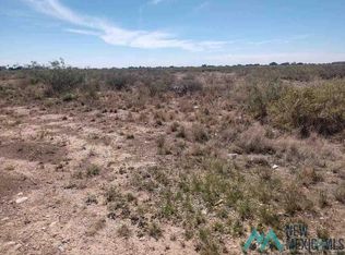 513 Del Rio St, Carlsbad, NM 88220