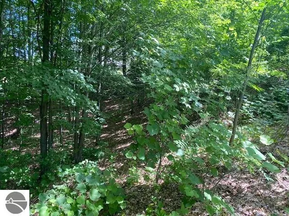 0 E Leelanau Hills Dr Lot 19, Traverse City, MI 49684
