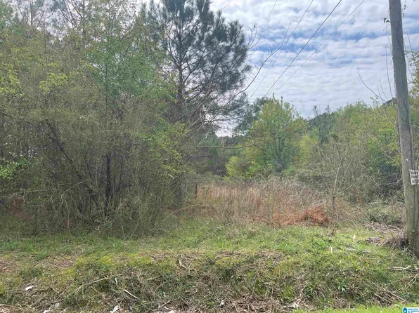 0 Lucas Rd #0, Vina, AL 35593