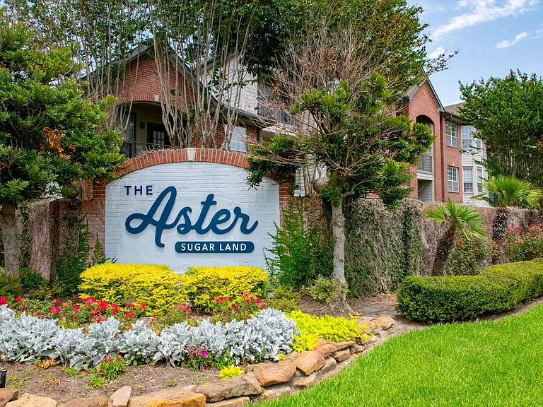 The Aster Sugar Land — Photo 30