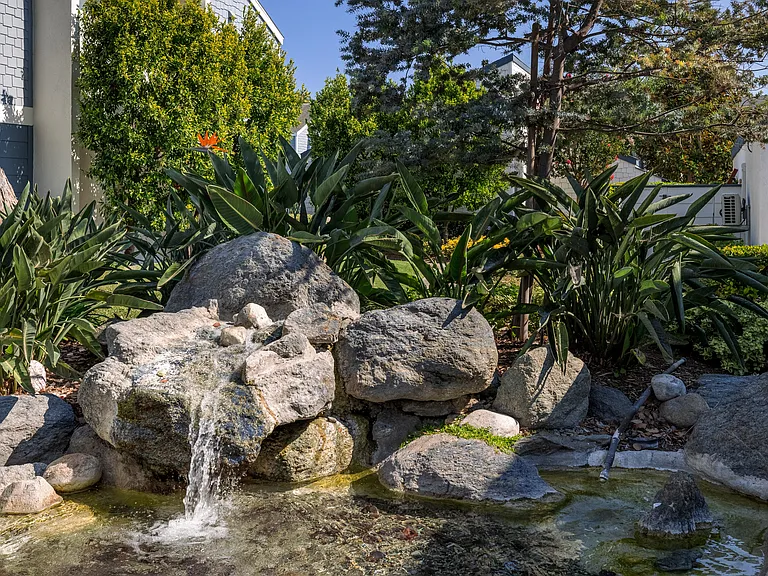Crystal Springs — Photo 12