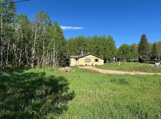 1746 Lump Gulch Rd, Black Hawk, CO 80422