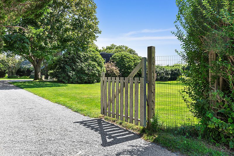 tree lined driveway nz