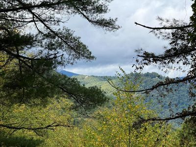 0 Shepherds Dr, Glenville, NC, 28736